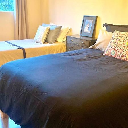 Amazing Cozy Apartment In Condesa Meksyk Zewnętrze zdjęcie