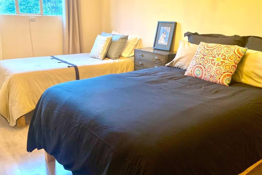 Amazing Cozy Apartment In Condesa Meksyk Zewnętrze zdjęcie