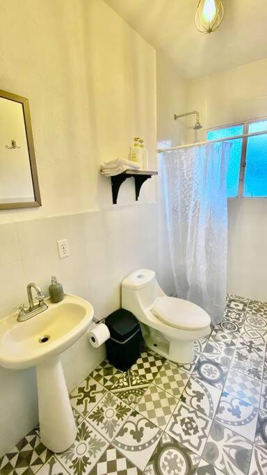 Amazing Cozy Apartment In Condesa Meksyk Zewnętrze zdjęcie