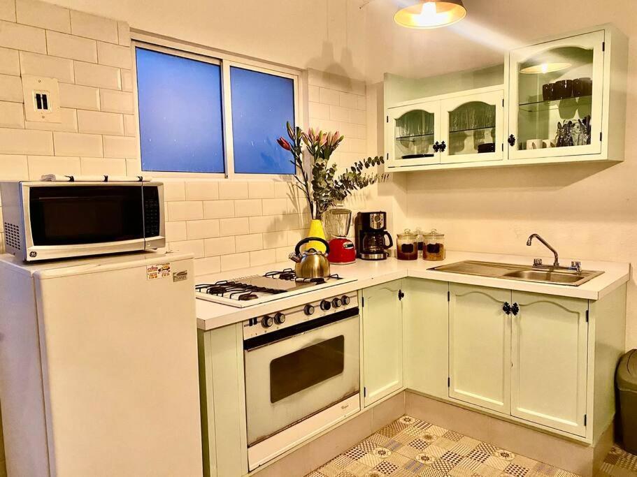 Amazing Cozy Apartment In Condesa Meksyk Zewnętrze zdjęcie