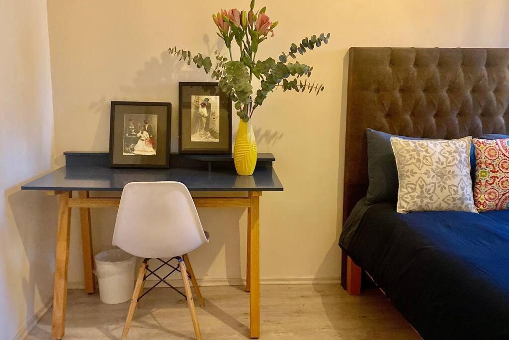 Amazing Cozy Apartment In Condesa Meksyk Zewnętrze zdjęcie