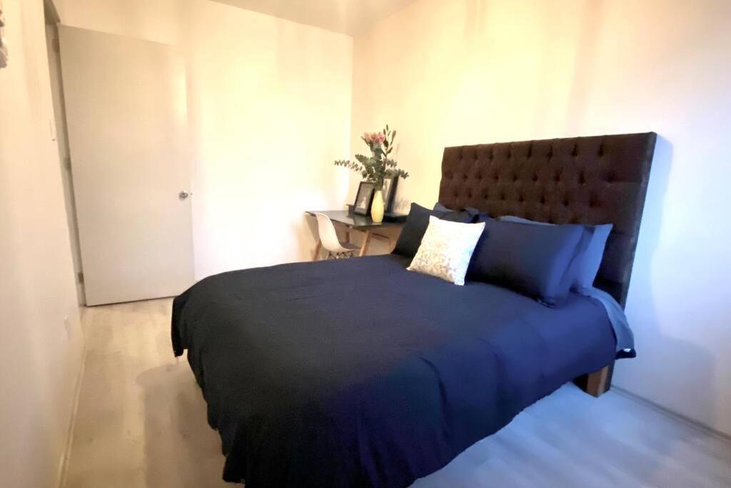 Amazing Cozy Apartment In Condesa Meksyk Zewnętrze zdjęcie